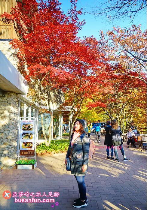 大邱景點八公山纜車怎麼去？交通解析最完整篇2024