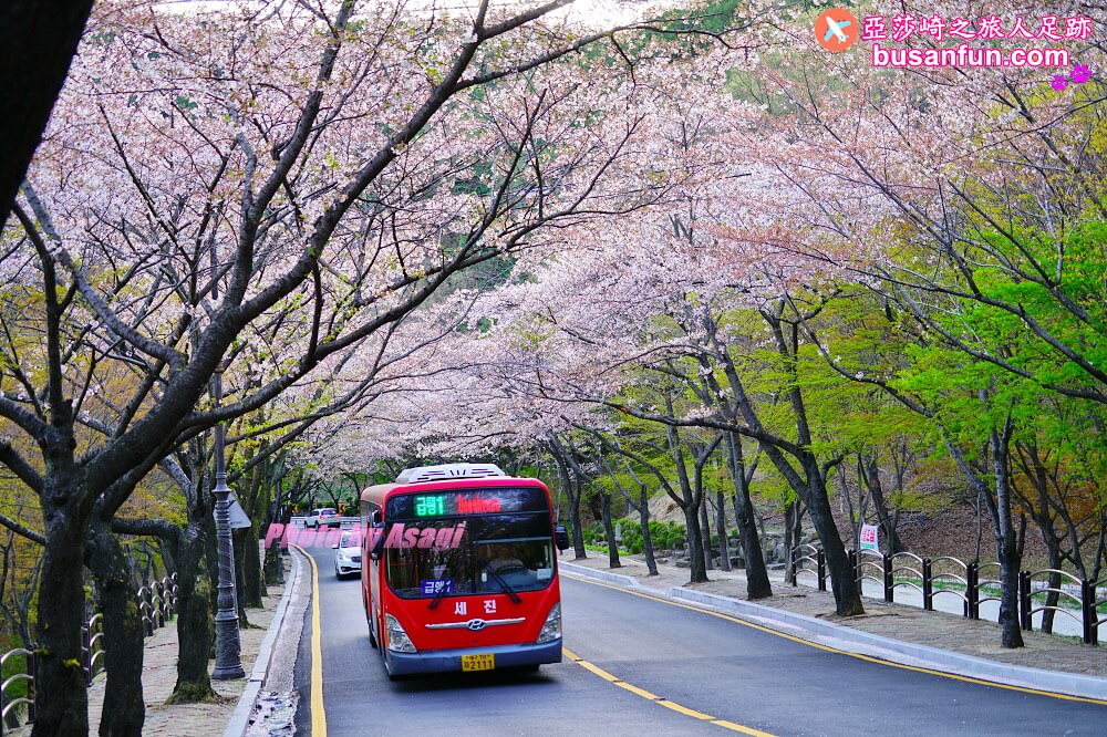 大邱景點八公山纜車怎麼去？交通解析最完整篇2024