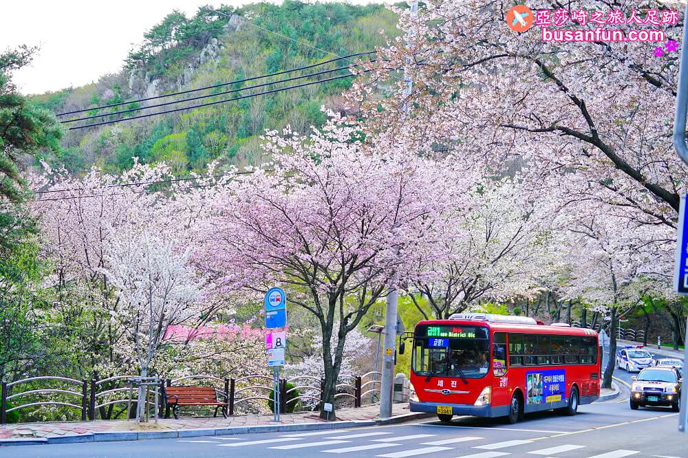 大邱景點八公山纜車怎麼去？交通解析最完整篇2024