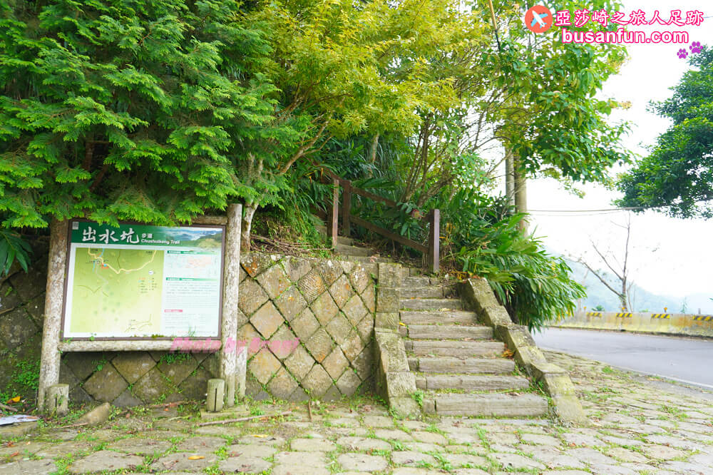 出水製茶所阿里山茶旅遊程＆出水坑步道茶園雲海風光