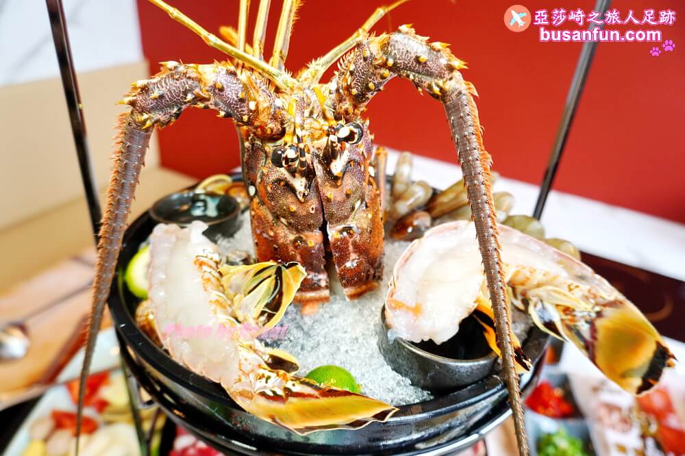 嗑肉石鍋台中烏日店精緻肉品肥美海鮮還有蔬食自助吧吃到飽，火鍋食慾瞬間拉滿