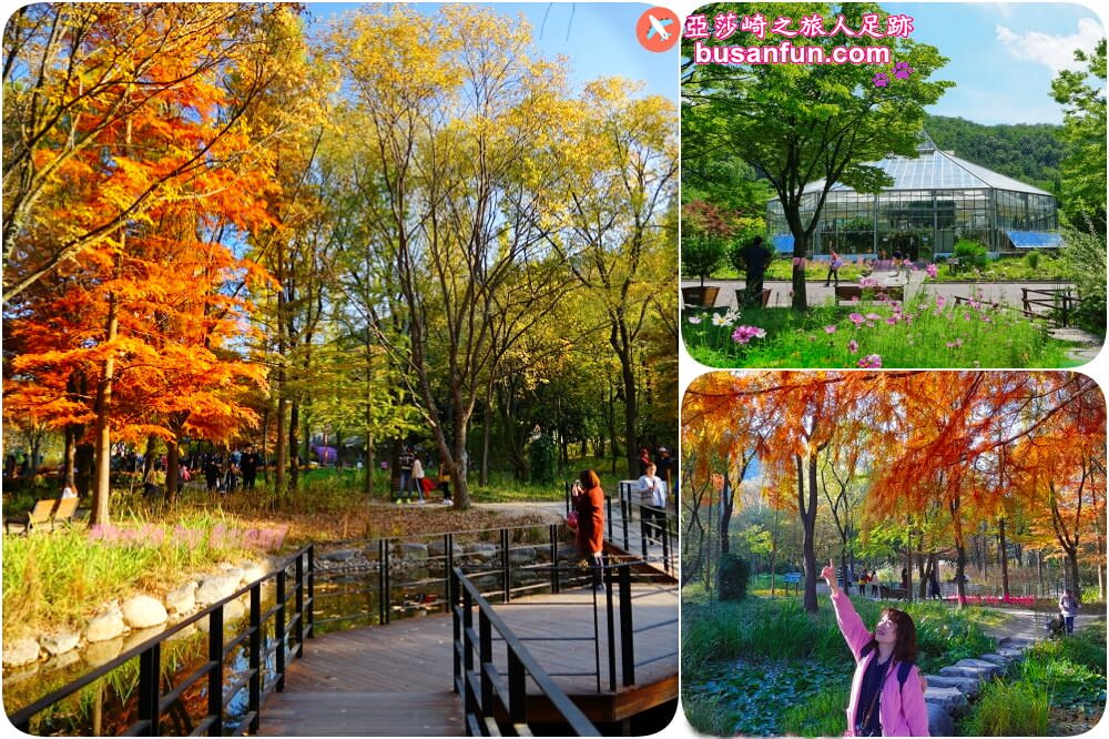 大邱景點大谷站｜大邱樹木園대구수목원秋日賞楓紅櫻葉菊花展春天跟櫻花約會