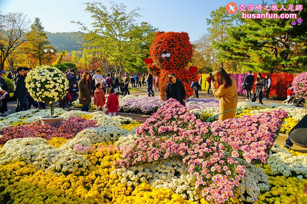 大邱景點大谷站｜大邱樹木園대구수목원秋日賞楓紅櫻葉菊花展春天跟櫻花約會
