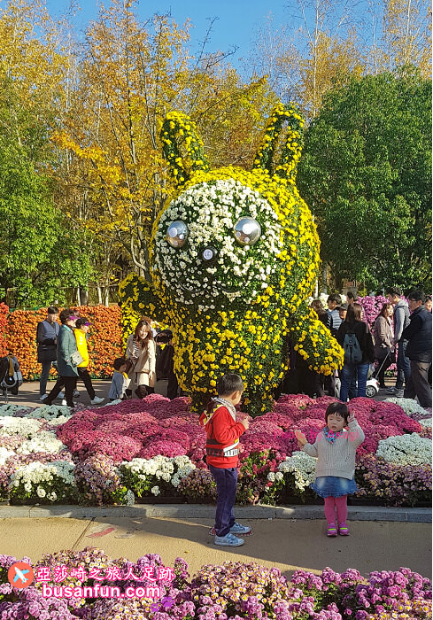 大邱景點大谷站｜大邱樹木園대구수목원秋日賞楓紅櫻葉菊花展春天跟櫻花約會