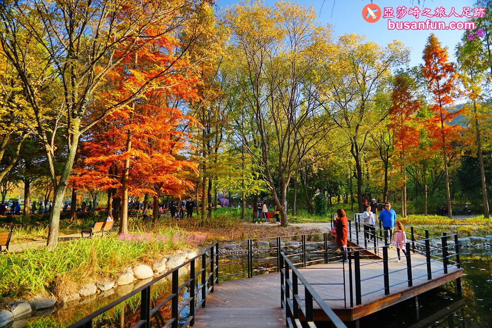 大邱景點大谷站｜大邱樹木園대구수목원秋日賞楓紅櫻葉菊花展春天跟櫻花約會