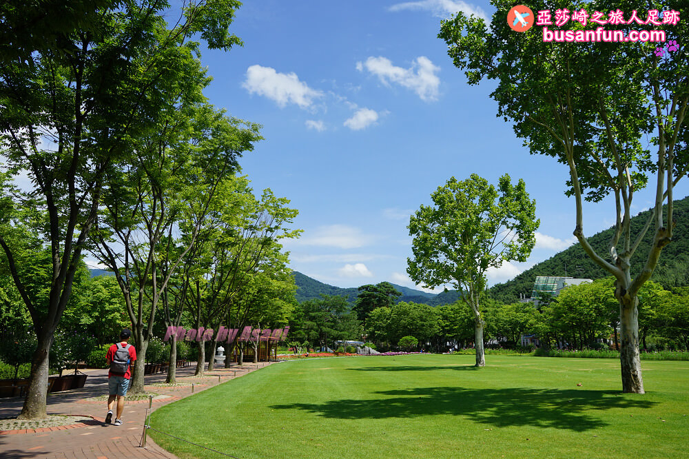 大邱景點大谷站｜大邱樹木園대구수목원秋日賞楓紅櫻葉菊花展春天跟櫻花約會