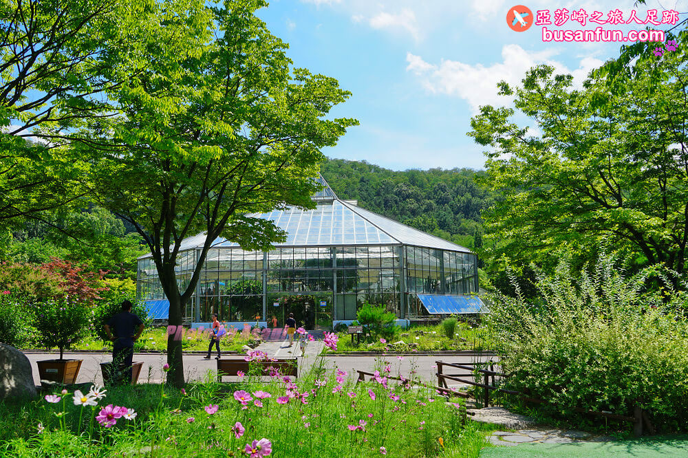 大邱景點大谷站｜大邱樹木園대구수목원秋日賞楓紅櫻葉菊花展春天跟櫻花約會