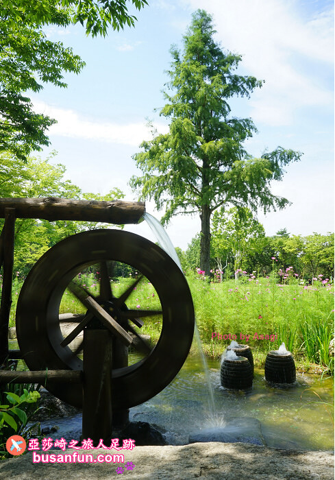 大邱景點大谷站｜大邱樹木園대구수목원秋日賞楓紅櫻葉菊花展春天跟櫻花約會