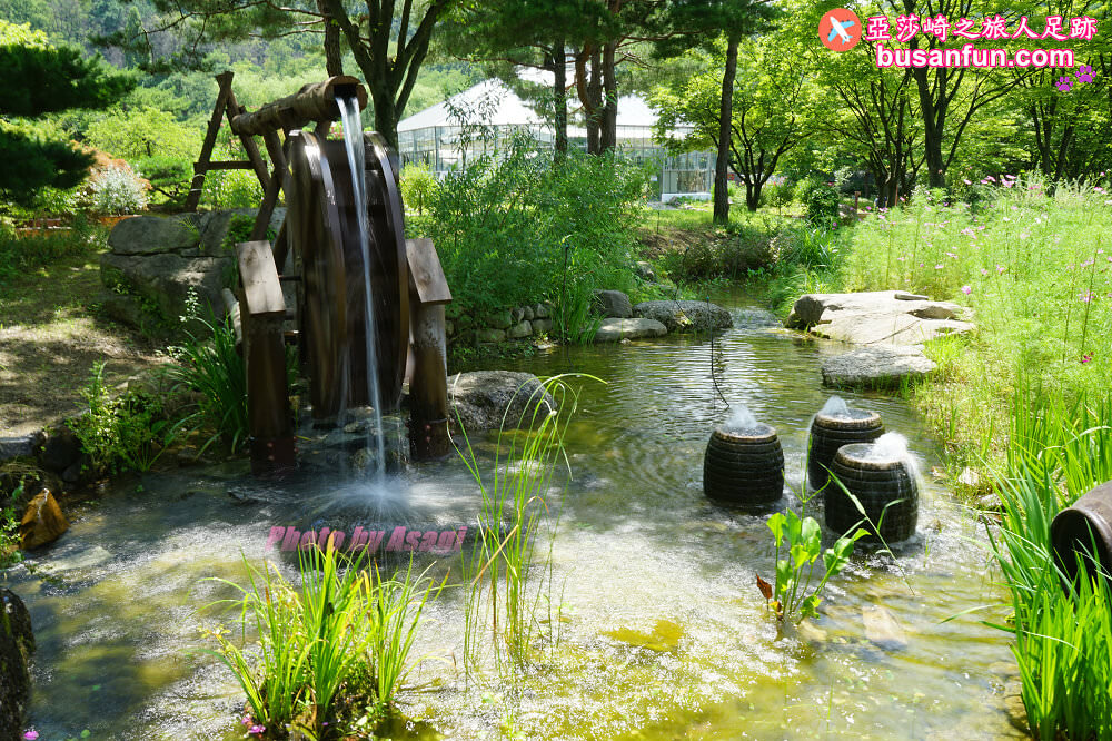 大邱景點大谷站｜大邱樹木園대구수목원秋日賞楓紅櫻葉菊花展春天跟櫻花約會