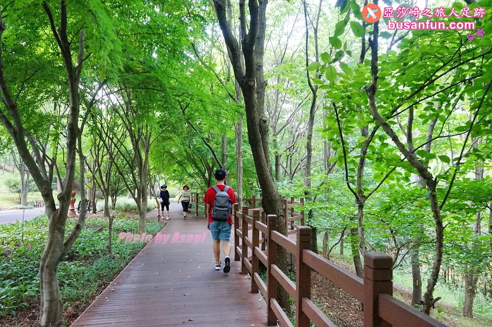 大邱景點大谷站｜大邱樹木園대구수목원秋日賞楓紅櫻葉菊花展春天跟櫻花約會