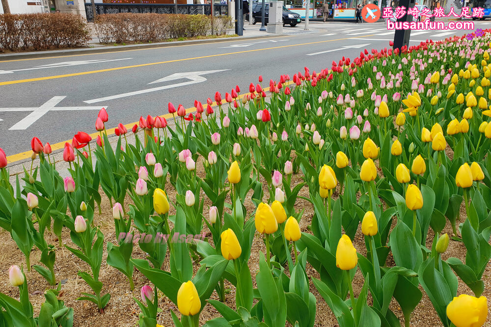 大邱對外交通｜大邱站到釜山首爾 距離東城路商圈最近的火車站