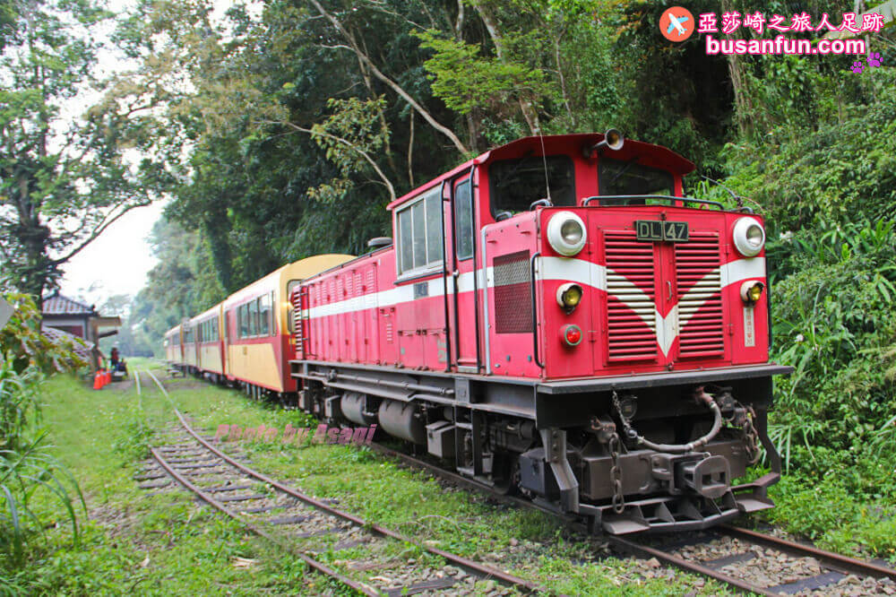 嘉義梅山太興黃頭鷺季最佳賞鳥位置太興翔億樓民宿過一夜、鴻朋啡茶站、太興飛瀑步道、梨園寮車站｜美食景點全打包