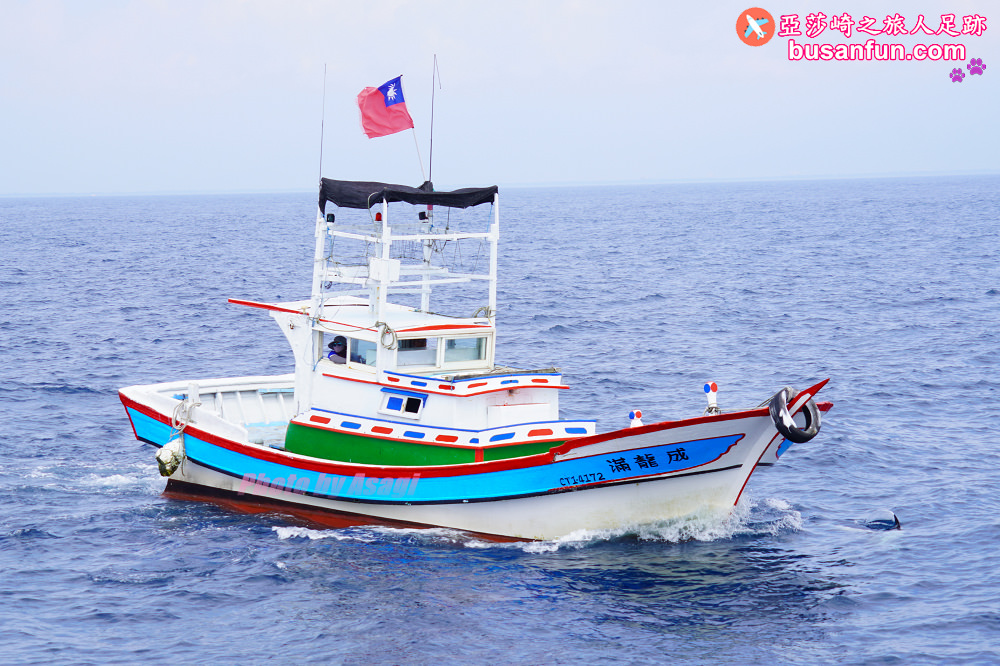 宜蘭友善賞鯨之旅一日遊 海保署帶領大家親近海洋生態