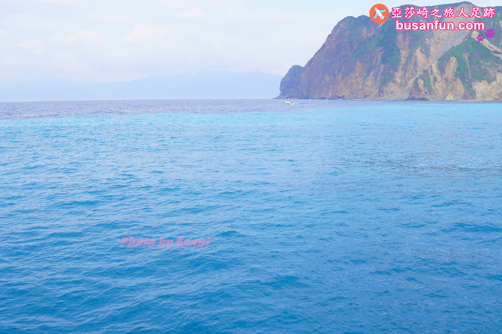 宜蘭友善賞鯨之旅一日遊 海保署帶領大家親近海洋生態