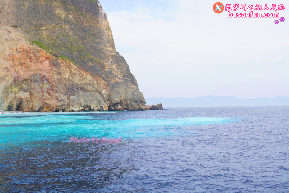 宜蘭友善賞鯨之旅一日遊 海保署帶領大家親近海洋生態