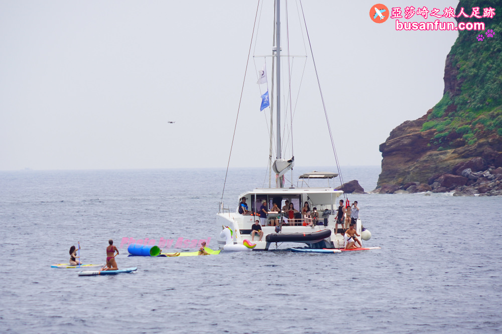 宜蘭友善賞鯨之旅一日遊 海保署帶領大家親近海洋生態