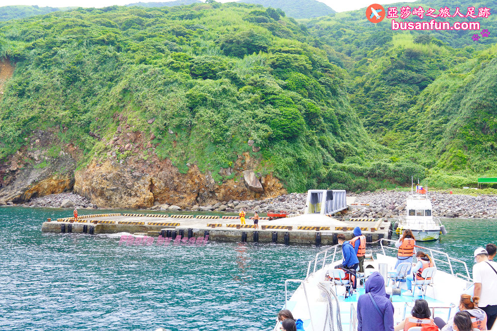 宜蘭友善賞鯨之旅一日遊 海保署帶領大家親近海洋生態