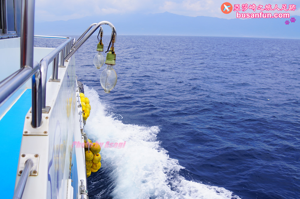 宜蘭友善賞鯨之旅一日遊 海保署帶領大家親近海洋生態