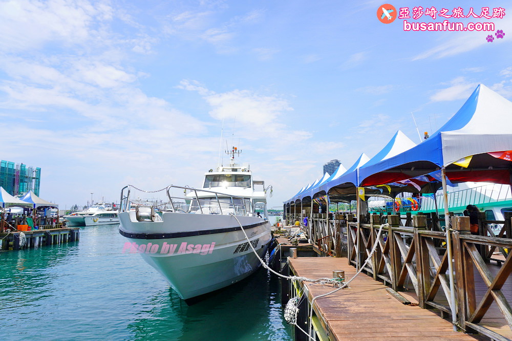 宜蘭友善賞鯨之旅一日遊 海保署帶領大家親近海洋生態