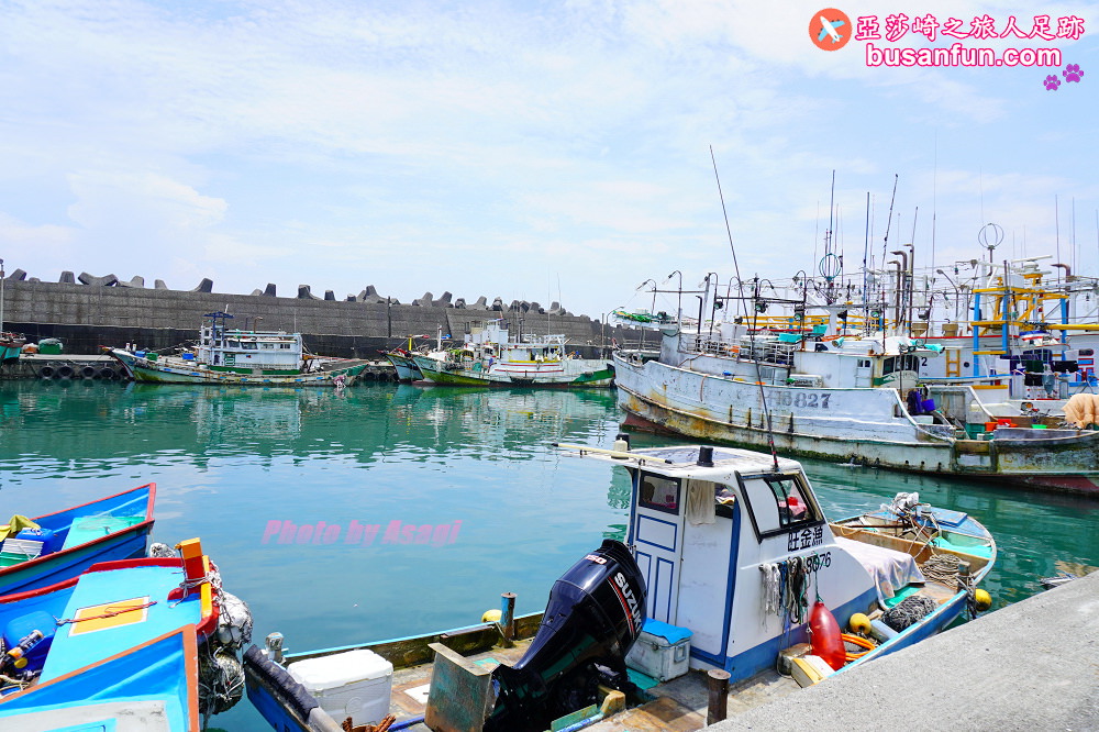宜蘭友善賞鯨之旅一日遊 海保署帶領大家親近海洋生態