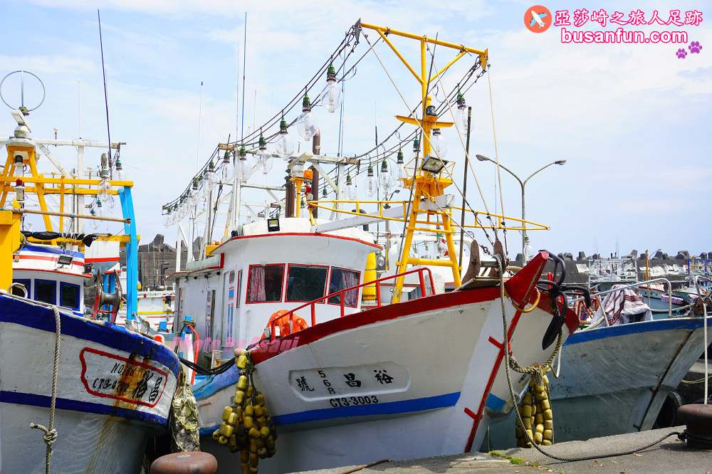 宜蘭友善賞鯨之旅一日遊 海保署帶領大家親近海洋生態