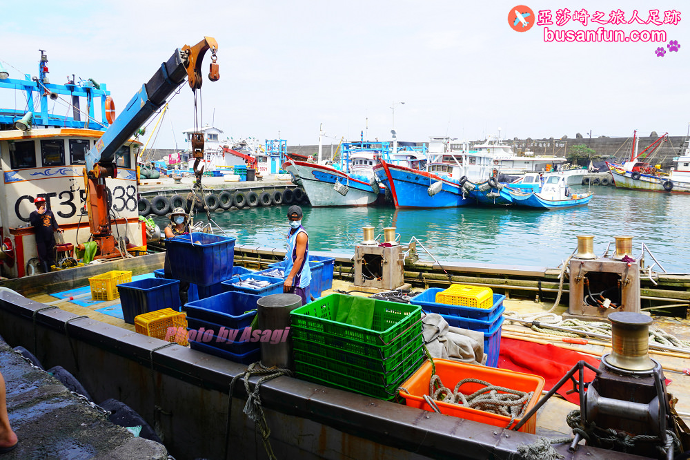 宜蘭友善賞鯨之旅一日遊 海保署帶領大家親近海洋生態
