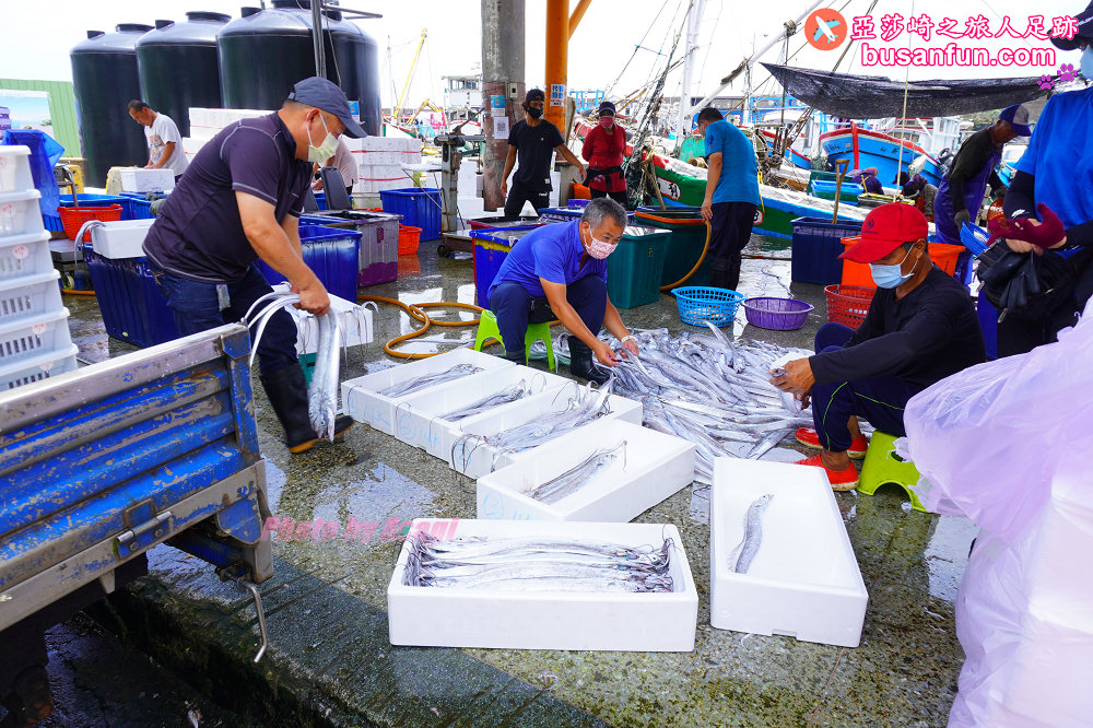 宜蘭友善賞鯨之旅一日遊 海保署帶領大家親近海洋生態