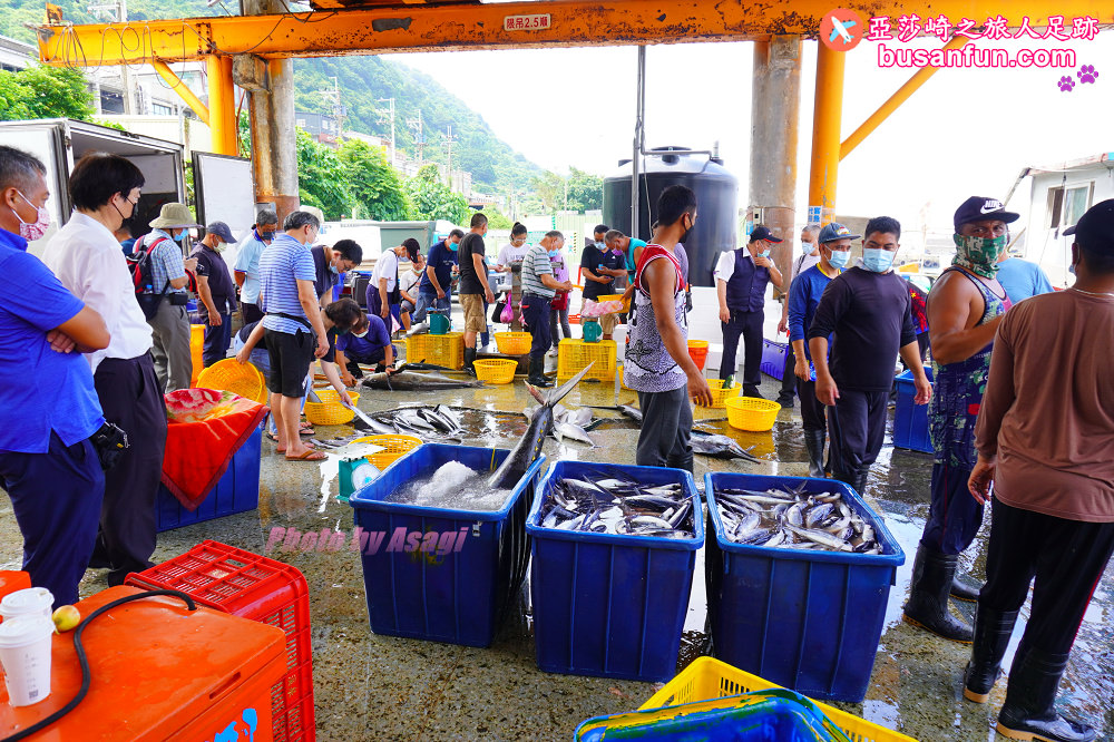 宜蘭友善賞鯨之旅一日遊 海保署帶領大家親近海洋生態