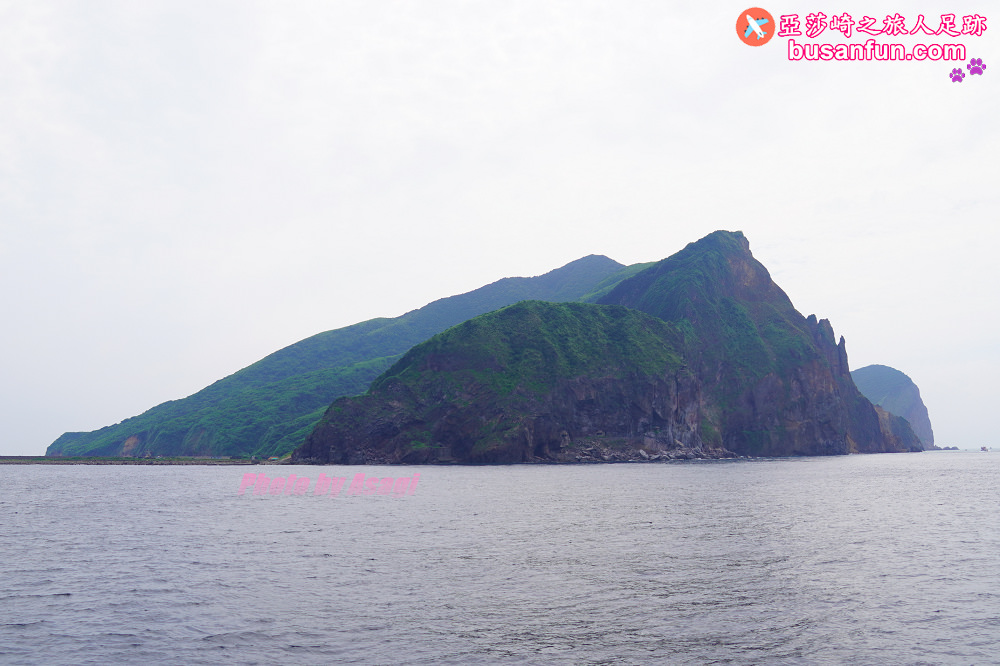 宜蘭友善賞鯨之旅一日遊 海保署帶領大家親近海洋生態
