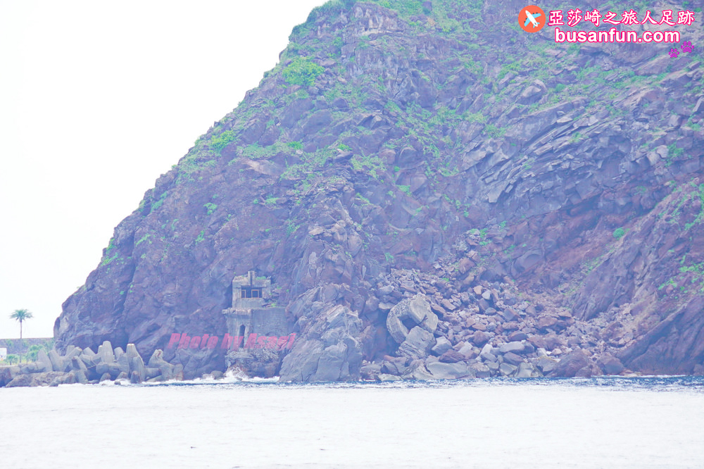 宜蘭友善賞鯨之旅一日遊 海保署帶領大家親近海洋生態