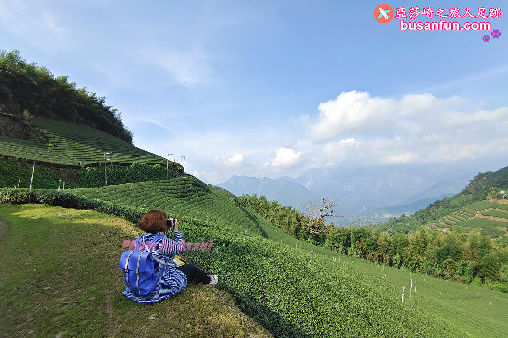 阿里山絕美秘境茶園寈芳茶廠｜製茶達人用心愛茶園愛土地推廣茶文化的故事