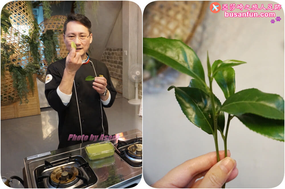 坪林小旅行一日遊|坪林老街手作茶羊羹吃紅茶滷肉、坪林茶葉博物館、綠光農園採茶品茗、北宜路坪林商圈找茶趣|新北好茶節假日市集 - 第12張圖 坪林小旅行一日遊|坪林老街手作茶羊羹吃紅茶滷肉、坪林茶葉博物館、綠光農園採茶品茗、北宜路坪林商圈找茶趣|新北好茶節假日市集