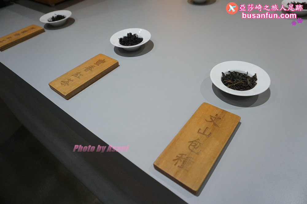 坪林小旅行一日遊|坪林老街手作茶羊羹吃紅茶滷肉、坪林茶葉博物館、綠光農園採茶品茗、北宜路坪林商圈找茶趣|新北好茶節假日市集 - 第53張圖 坪林小旅行一日遊|坪林老街手作茶羊羹吃紅茶滷肉、坪林茶葉博物館、綠光農園採茶品茗、北宜路坪林商圈找茶趣|新北好茶節假日市集