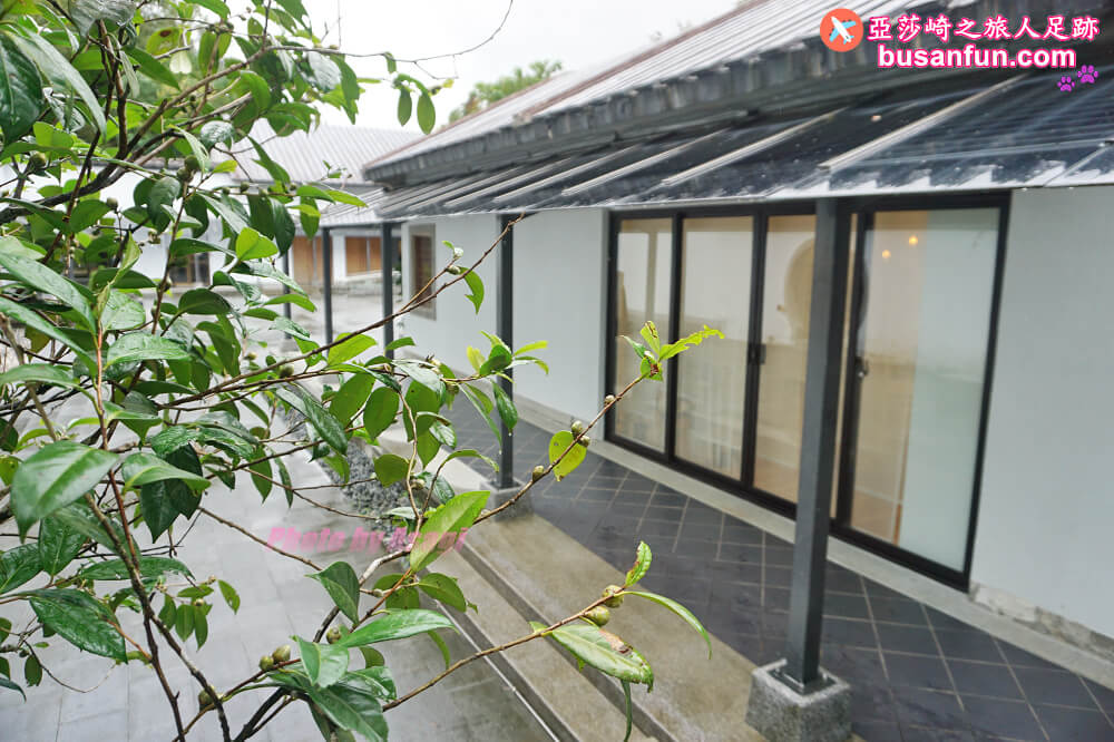 坪林小旅行一日遊｜坪林老街手作茶羊羹吃紅茶滷肉、坪林茶葉博物館、綠光農園採茶品茗、北宜路坪林商圈找茶趣｜新北好茶節假日市集