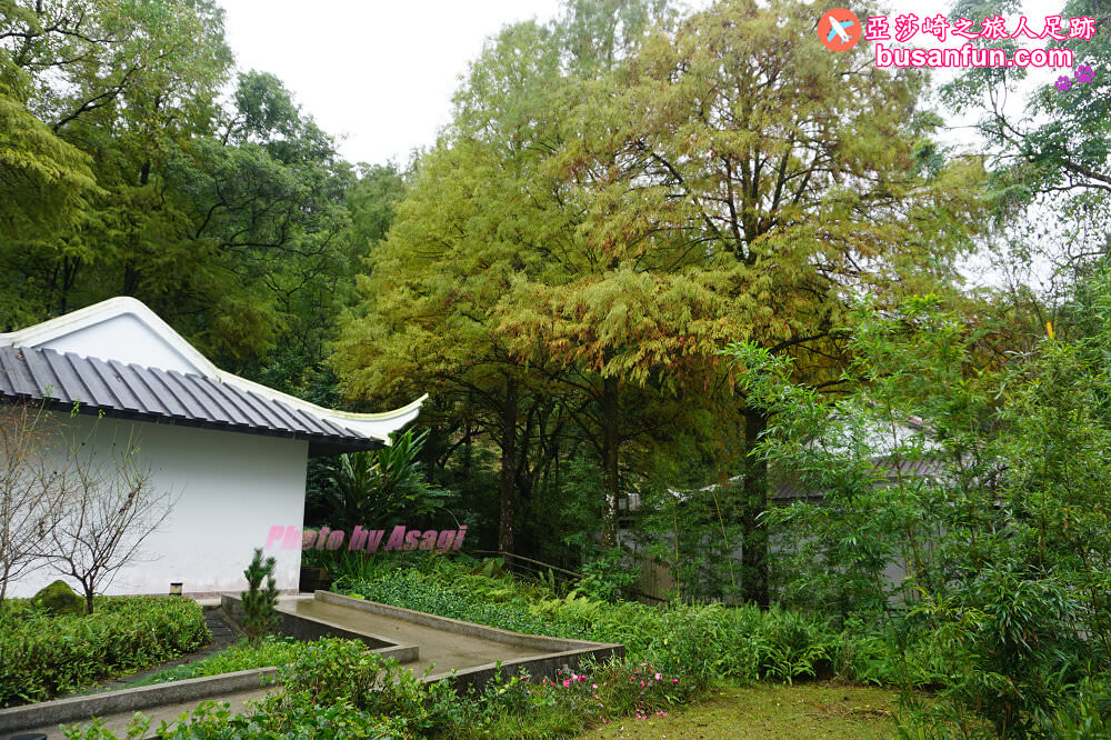 坪林小旅行一日遊|坪林老街手作茶羊羹吃紅茶滷肉、坪林茶葉博物館、綠光農園採茶品茗、北宜路坪林商圈找茶趣|新北好茶節假日市集 - 第58張圖 坪林小旅行一日遊|坪林老街手作茶羊羹吃紅茶滷肉、坪林茶葉博物館、綠光農園採茶品茗、北宜路坪林商圈找茶趣|新北好茶節假日市集