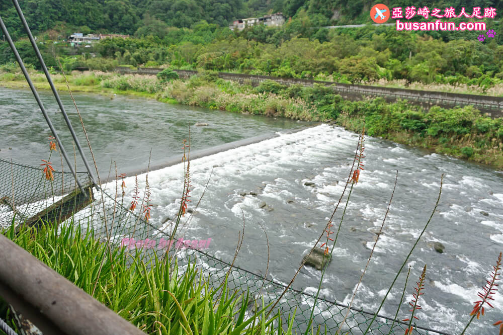 坪林小旅行一日遊|坪林老街手作茶羊羹吃紅茶滷肉、坪林茶葉博物館、綠光農園採茶品茗、北宜路坪林商圈找茶趣|新北好茶節假日市集 - 第67張圖 坪林小旅行一日遊|坪林老街手作茶羊羹吃紅茶滷肉、坪林茶葉博物館、綠光農園採茶品茗、北宜路坪林商圈找茶趣|新北好茶節假日市集