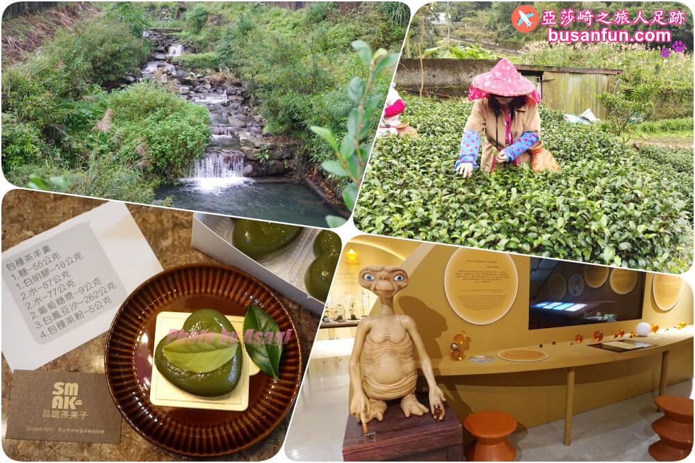 坪林小旅行一日遊|坪林老街手作茶羊羹吃紅茶滷肉、坪林茶葉博物館、綠光農園採茶品茗、北宜路坪林商圈找茶趣|新北好茶節假日市集 - 第2張圖 坪林小旅行一日遊|坪林老街手作茶羊羹吃紅茶滷肉、坪林茶葉博物館、綠光農園採茶品茗、北宜路坪林商圈找茶趣|新北好茶節假日市集