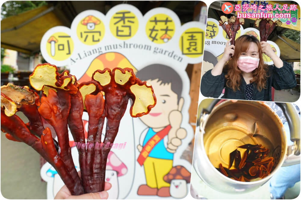 漫遊新社女王餐桌一日遊｜五柳莊養生手工醋、安妮公主花園午宴、阿亮香菇園觀光農場