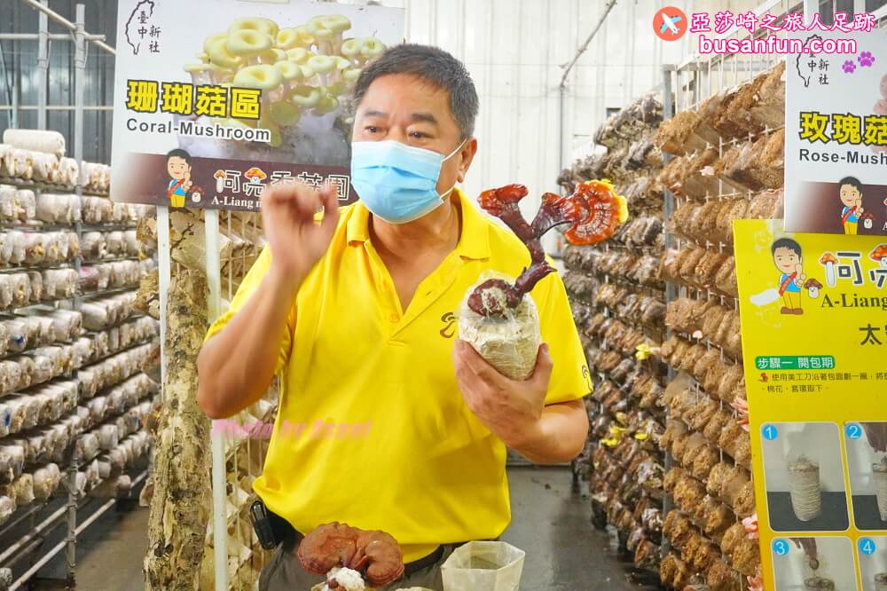 漫遊新社女王餐桌一日遊｜五柳莊養生手工醋、安妮公主花園午宴、阿亮香菇園觀光農場
