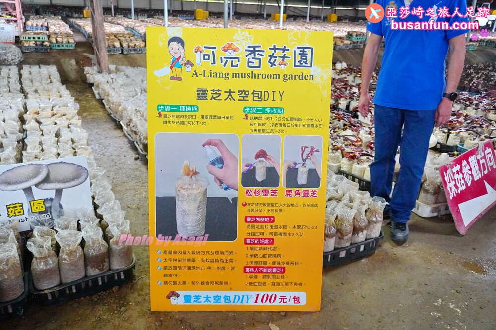 漫遊新社女王餐桌一日遊｜五柳莊養生手工醋、安妮公主花園午宴、阿亮香菇園觀光農場