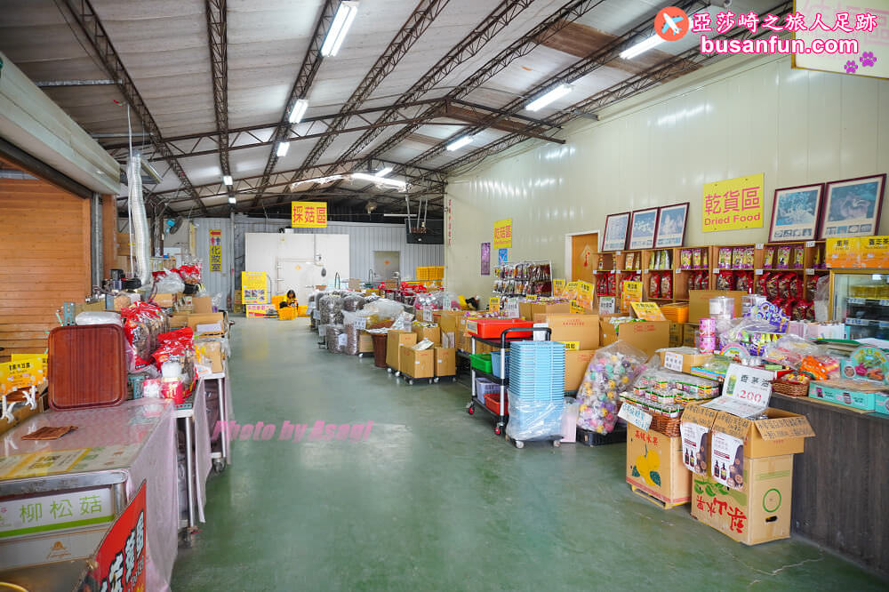 漫遊新社女王餐桌一日遊｜五柳莊養生手工醋、安妮公主花園午宴、阿亮香菇園觀光農場