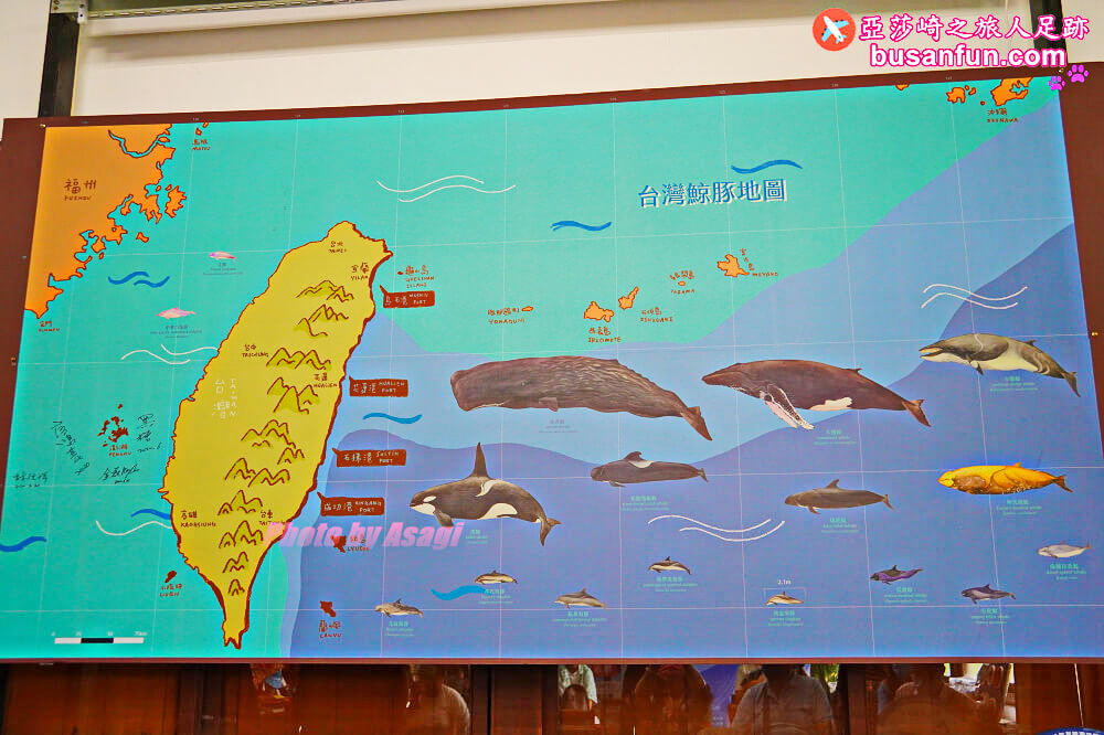 花蓮友善賞鯨之旅隱藏版行程 跟海保署體驗「食魚教育」走訪七星潭無敵海景