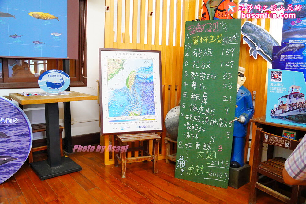 花蓮友善賞鯨之旅隱藏版行程 跟海保署體驗「食魚教育」走訪七星潭無敵海景