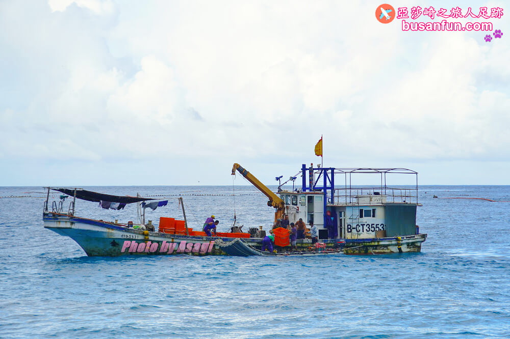 花蓮友善賞鯨之旅隱藏版行程 跟海保署體驗「食魚教育」走訪七星潭無敵海景