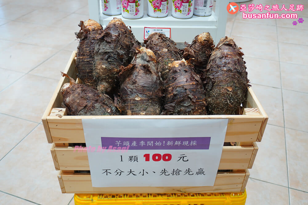 苗栗公館小旅行來去苗栗特色館品飲農村酒、陶藝DIY、紅棗芋頭在地食材飯糰|台灣農村酒莊遊程 - 第56張圖 苗栗公館小旅行來去苗栗特色館品飲農村酒、陶藝DIY、紅棗芋頭在地食材飯糰|台灣農村酒莊遊程