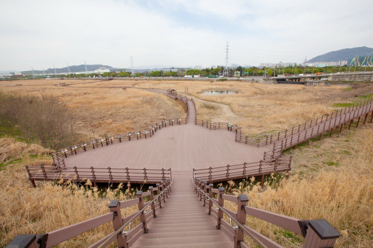 大邱景點｜秋冬賞蘆葦拍美照－達城濕地生態學習館(달성습지 생태학습관)大明游水池交通指引