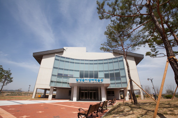 大邱景點 大邱蘆葦 大邱必遊