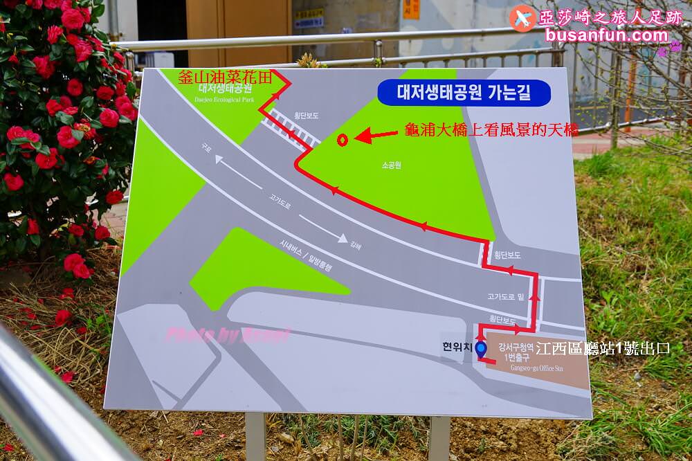 釜山油菜花景點》江西區廳站|大渚生態公園洛東江油菜花慶典攻略+交通資訊 - 第34張圖 釜山油菜花景點》江西區廳站|大渚生態公園洛東江油菜花慶典攻略+交通資訊