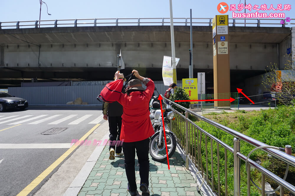 釜山油菜花景點》江西區廳站｜大渚生態公園洛東江油菜花慶典攻略+交通資訊