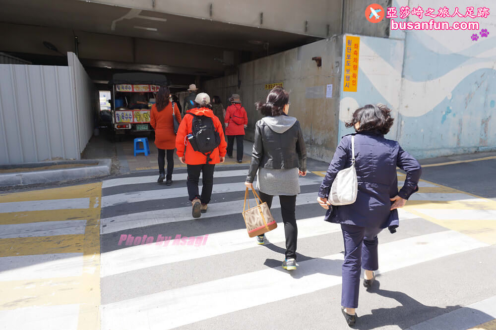 釜山油菜花景點》江西區廳站|大渚生態公園洛東江油菜花慶典攻略+交通資訊 - 第39張圖 釜山油菜花景點》江西區廳站|大渚生態公園洛東江油菜花慶典攻略+交通資訊